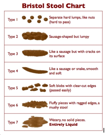 Stools on Types 1   2 On The Bristol Stool Chart Indicate Constipation